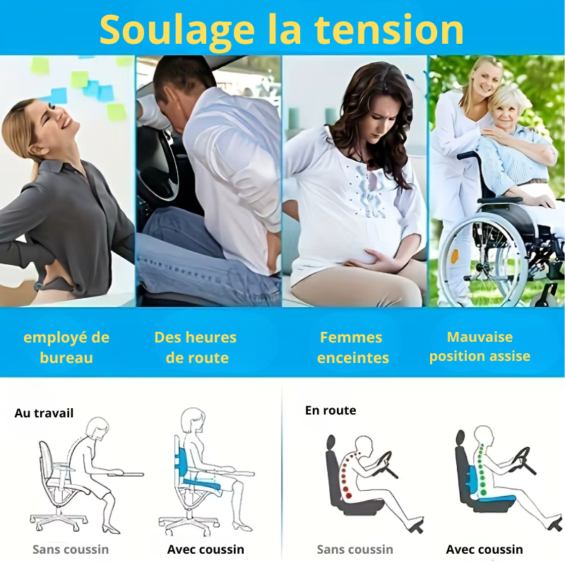confort ergonomique coussin coccyx