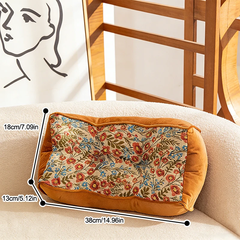 coussin rehaussé de velours
