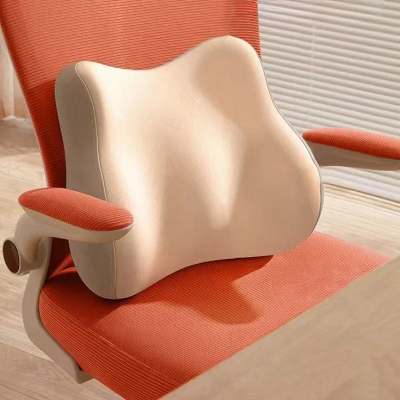 ergonomie coussin lombaire