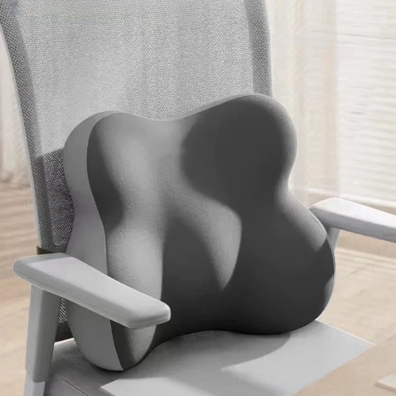 coussin ergonomique dos