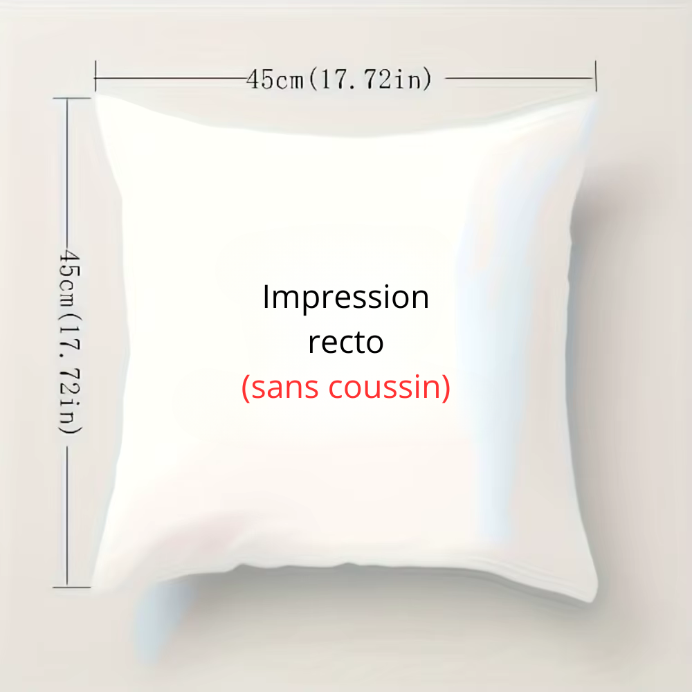 coussin chic